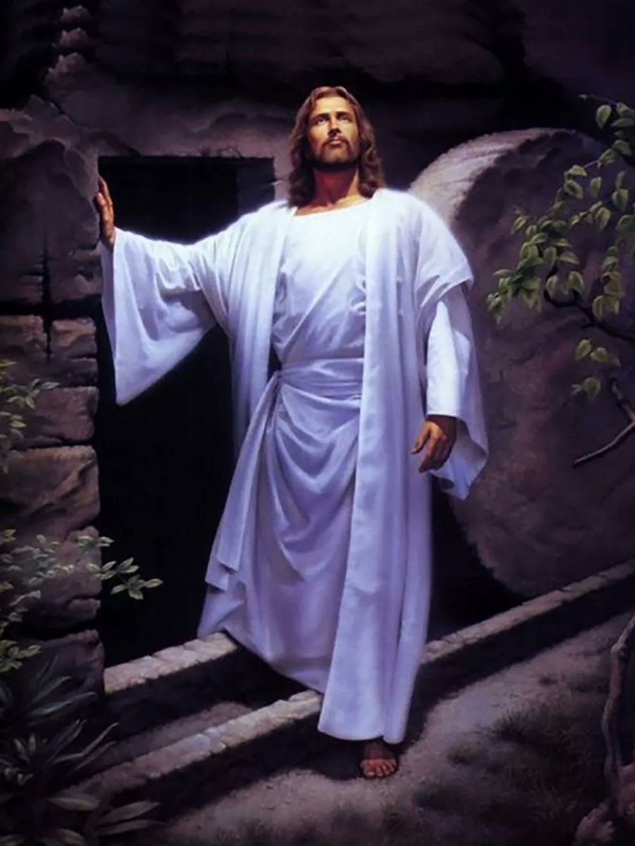 Cit'y 🇻🇪🇪🇸 tweet media