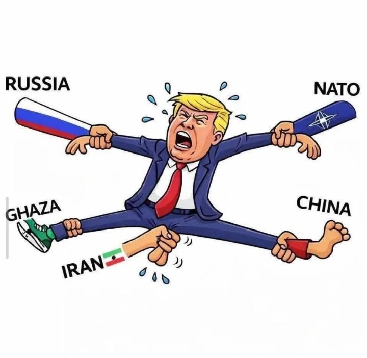 Yeyo Bermack tweet media