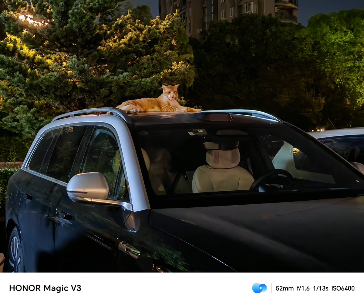 Morgan MacCleary tweet media