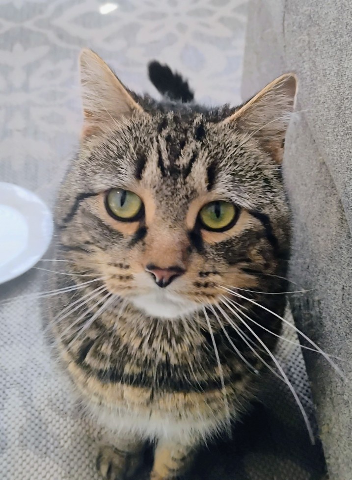 Providence Guy tweet media