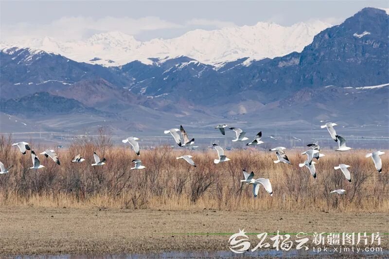 我们约会吧 tweet media