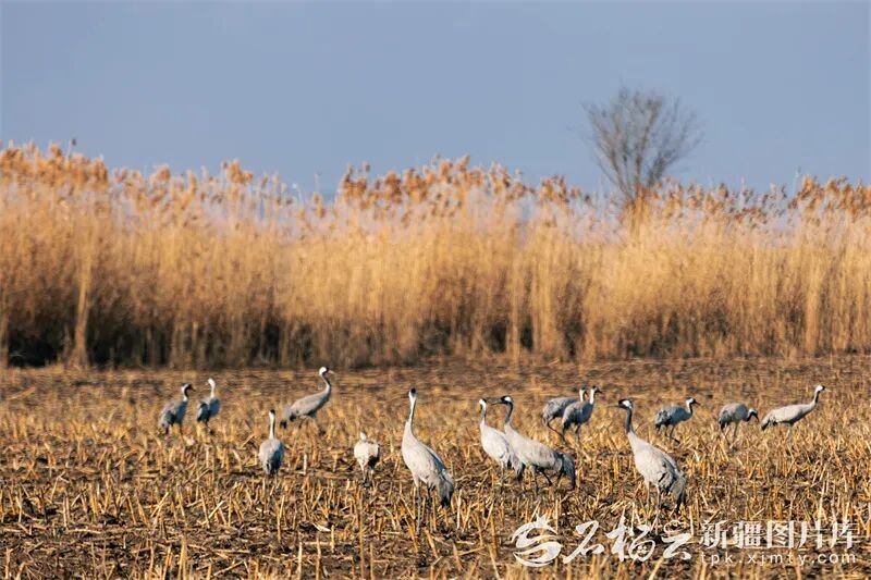 我们约会吧 tweet media