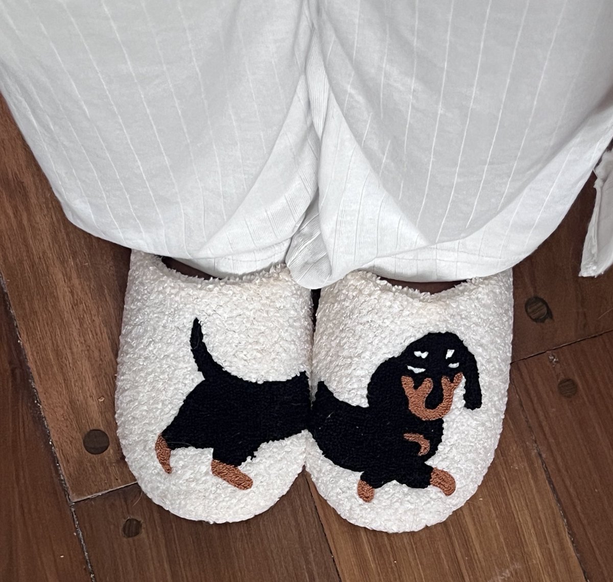 Charlotte Sometimes tweet media