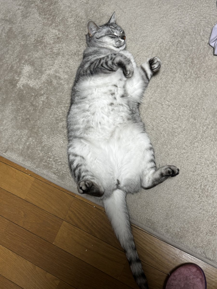 きょんちん@黒牛亜同盟 tweet media