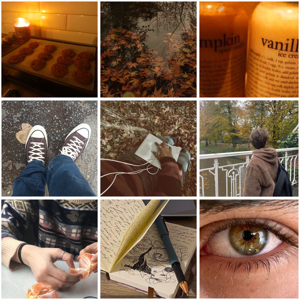 alyvia 𐙚⋆˚ tweet media