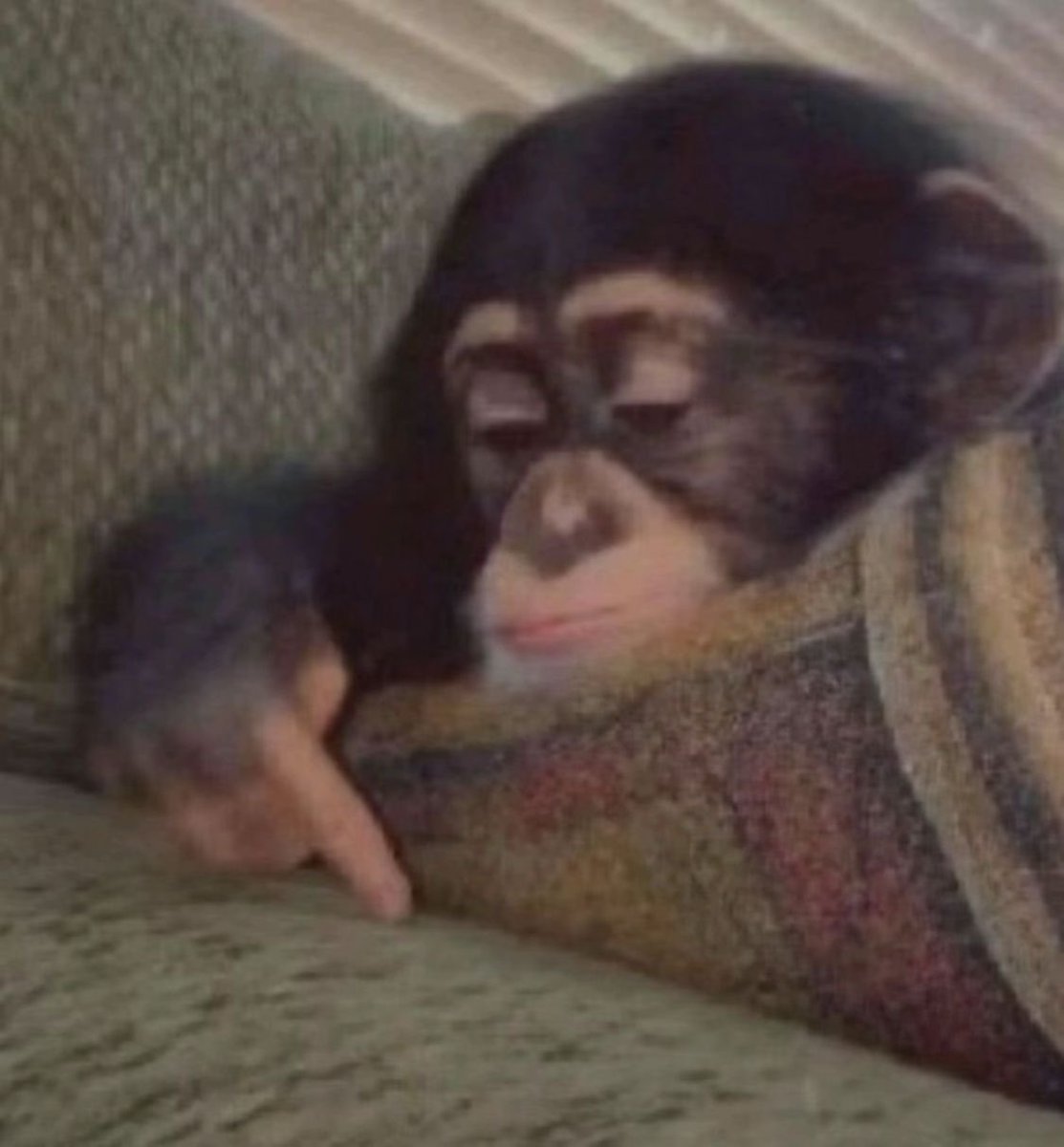 nur 𐙚 | BRING HEESEUNG BACK tweet media