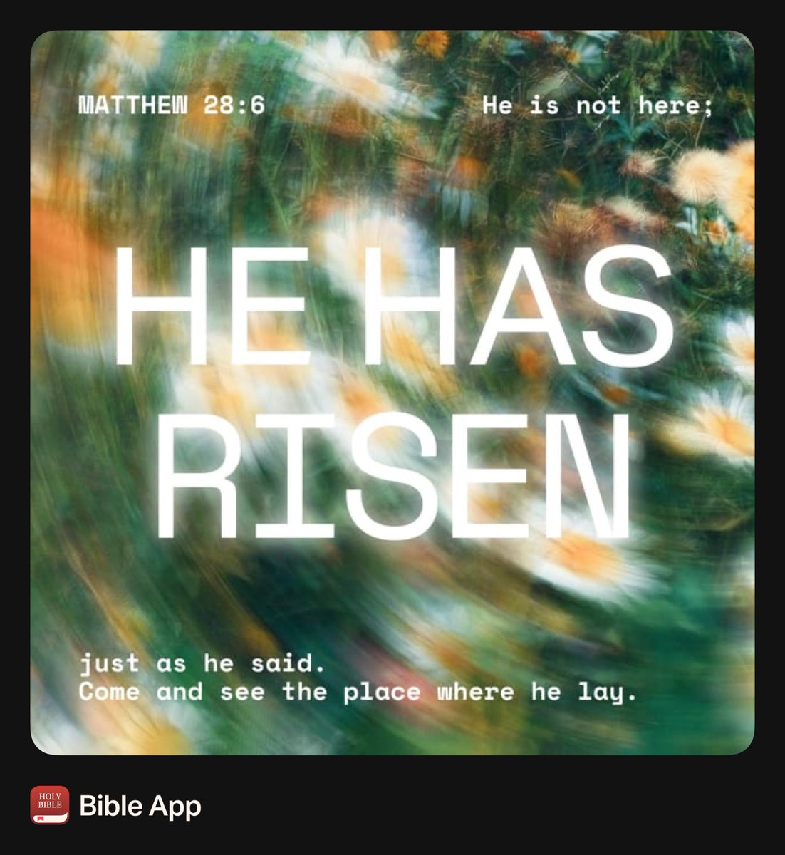 centrist tweet media