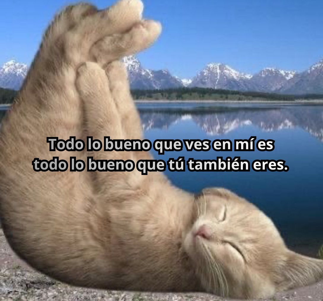 conoloracigarro's tweet photo. https://t.co/6uMH11eVg5
