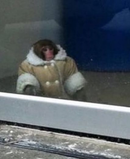 ana malfoy tweet media