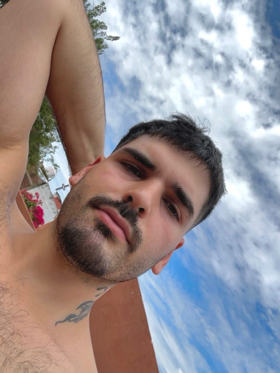 Sebas tweet media