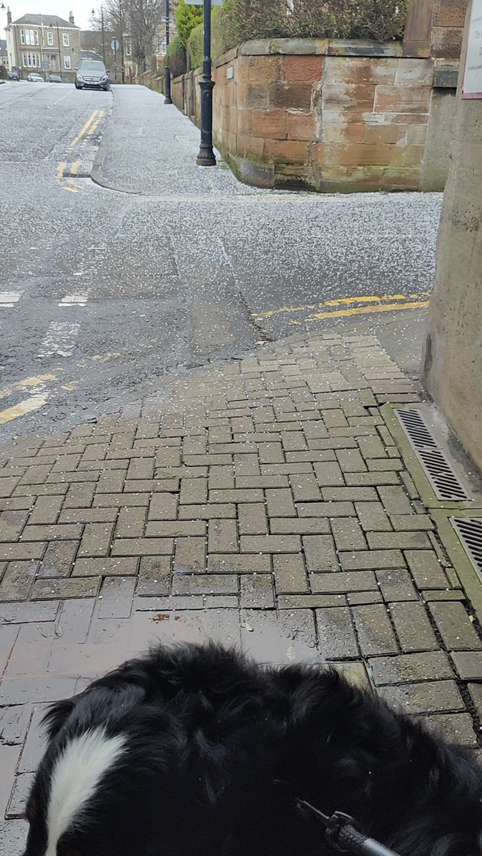 Brie's World 🌍🇬🇧🇨🇭 tweet media