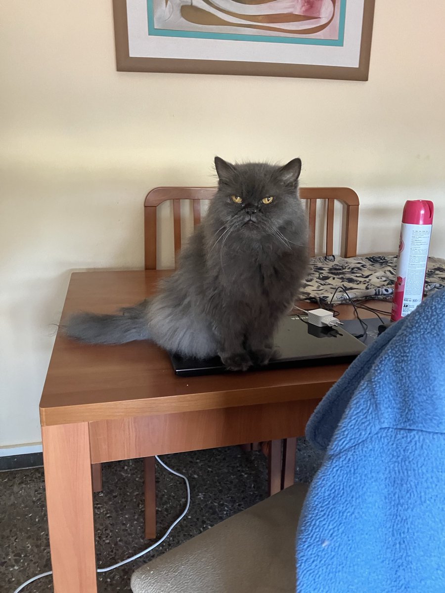 ció amat tobias tweet media