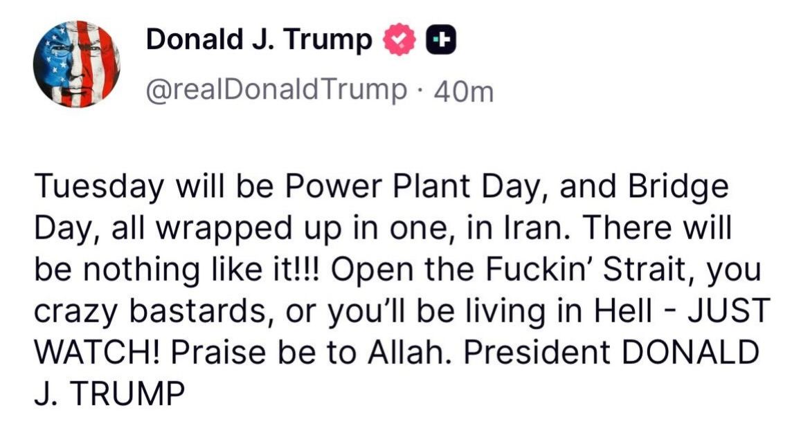 ديانا مقلد Diana Moukalled tweet media