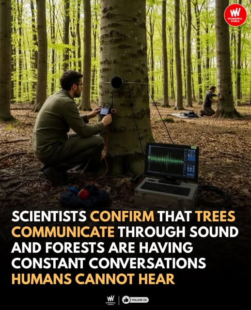 James Tate tweet media