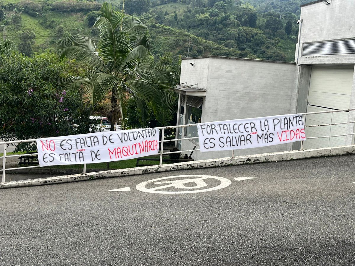 Daniel Salazar tweet media