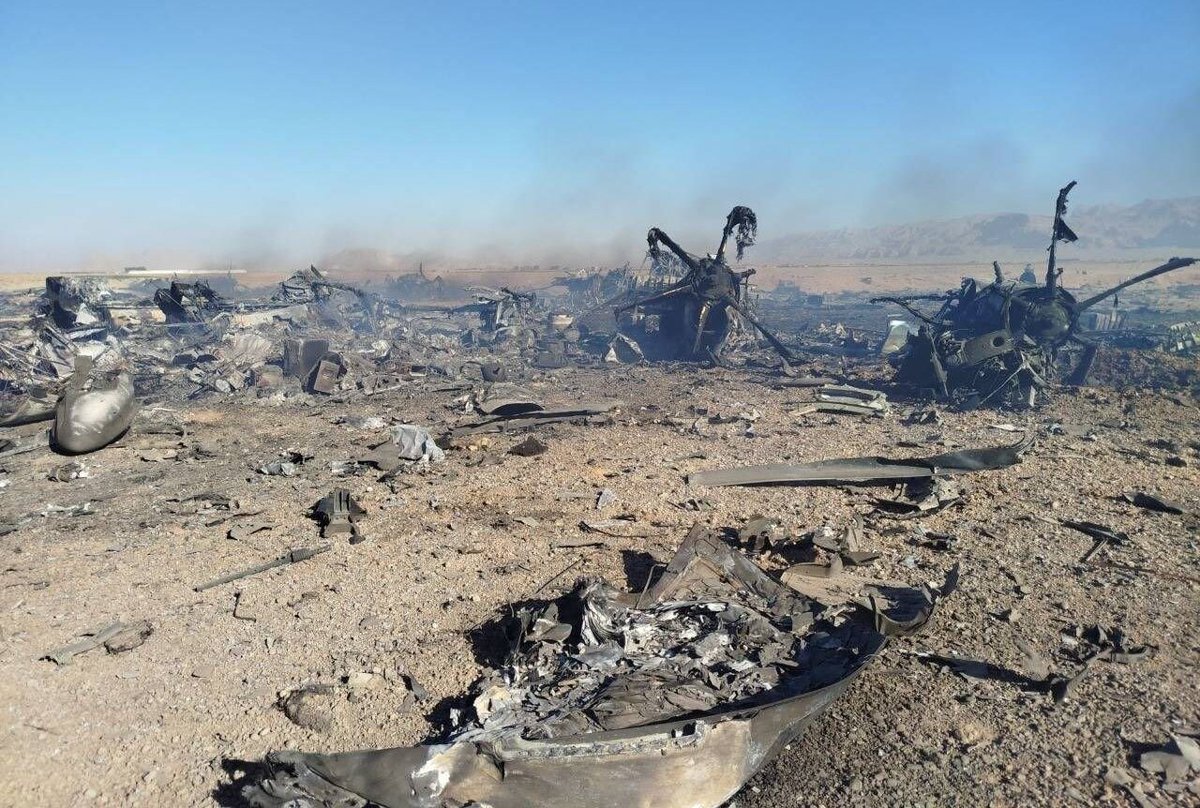 Elite Predators tweet media