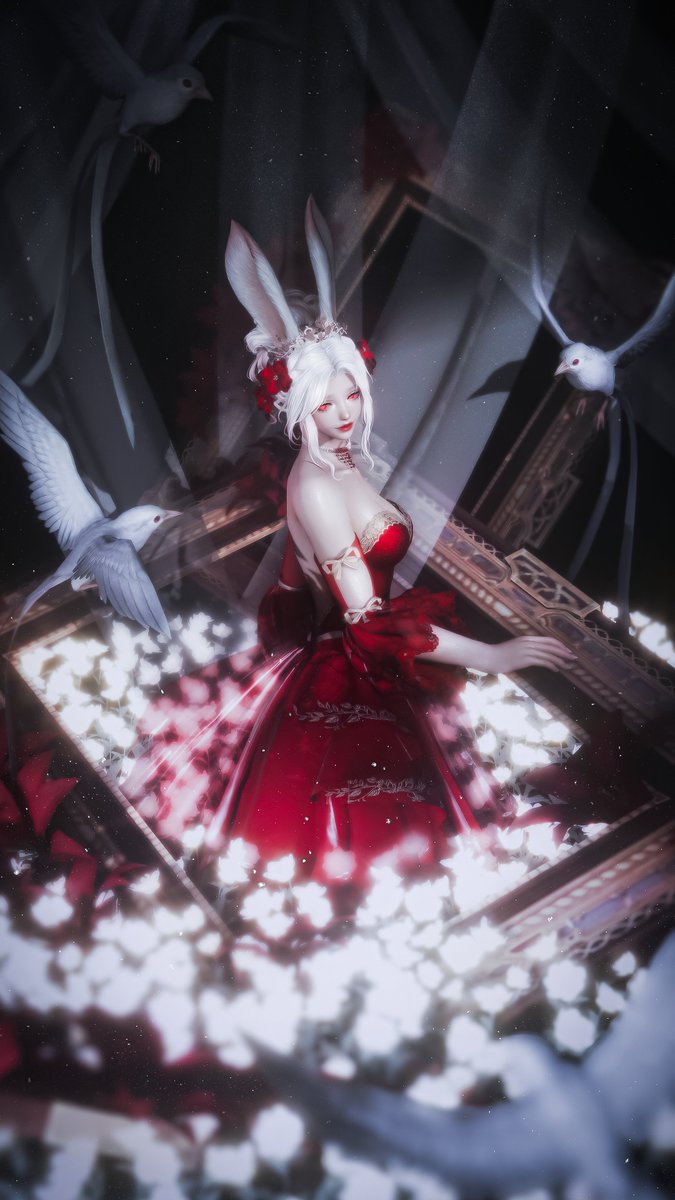 Yao 🏮 tweet media