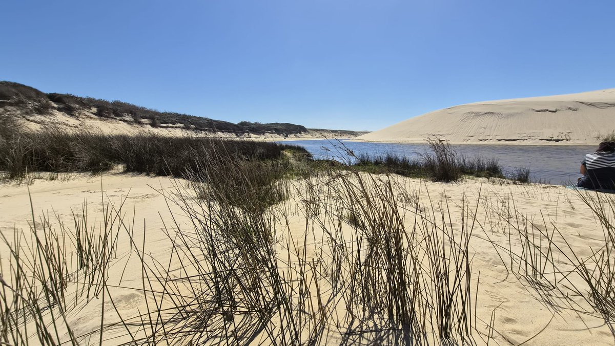 @riad82000IsBack tweet media