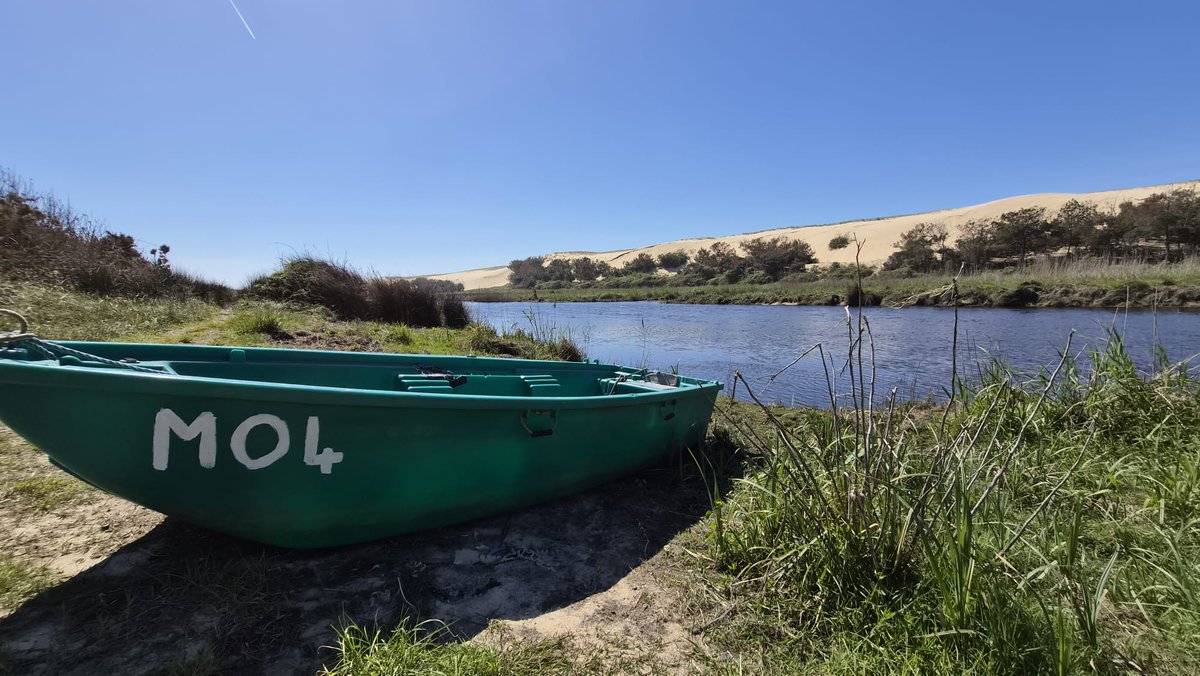 @riad82000IsBack tweet media