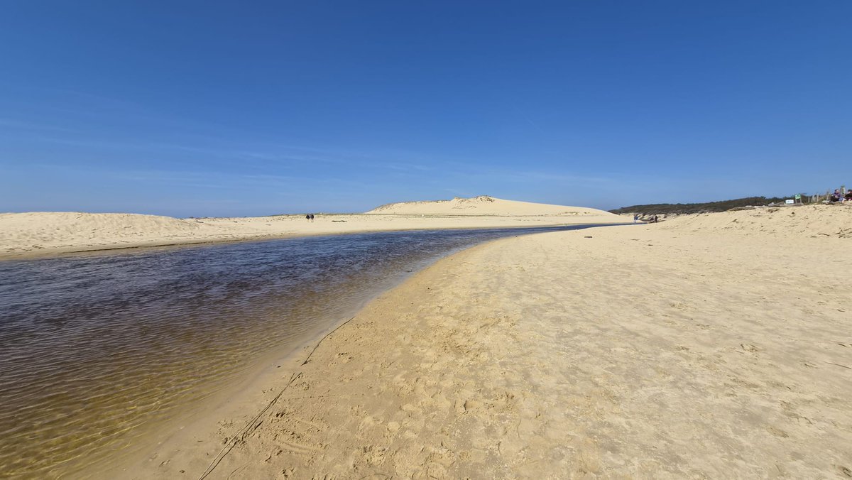 @riad82000IsBack tweet media