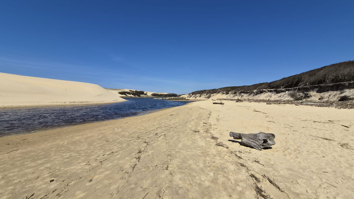 @riad82000IsBack tweet media