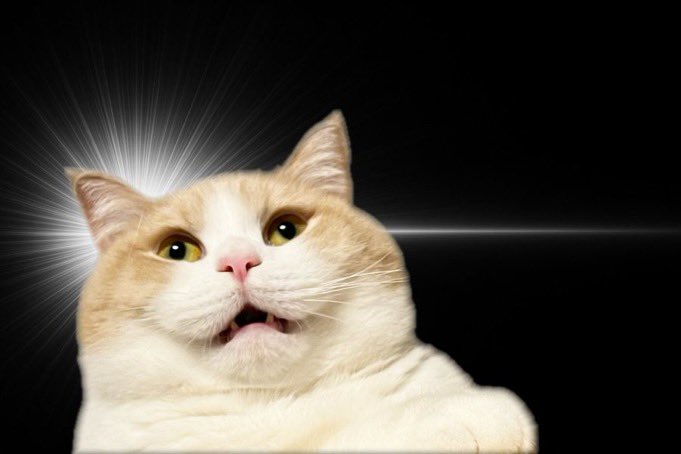 🇯🇵星空音夢🇯🇵🧀👮 tweet media