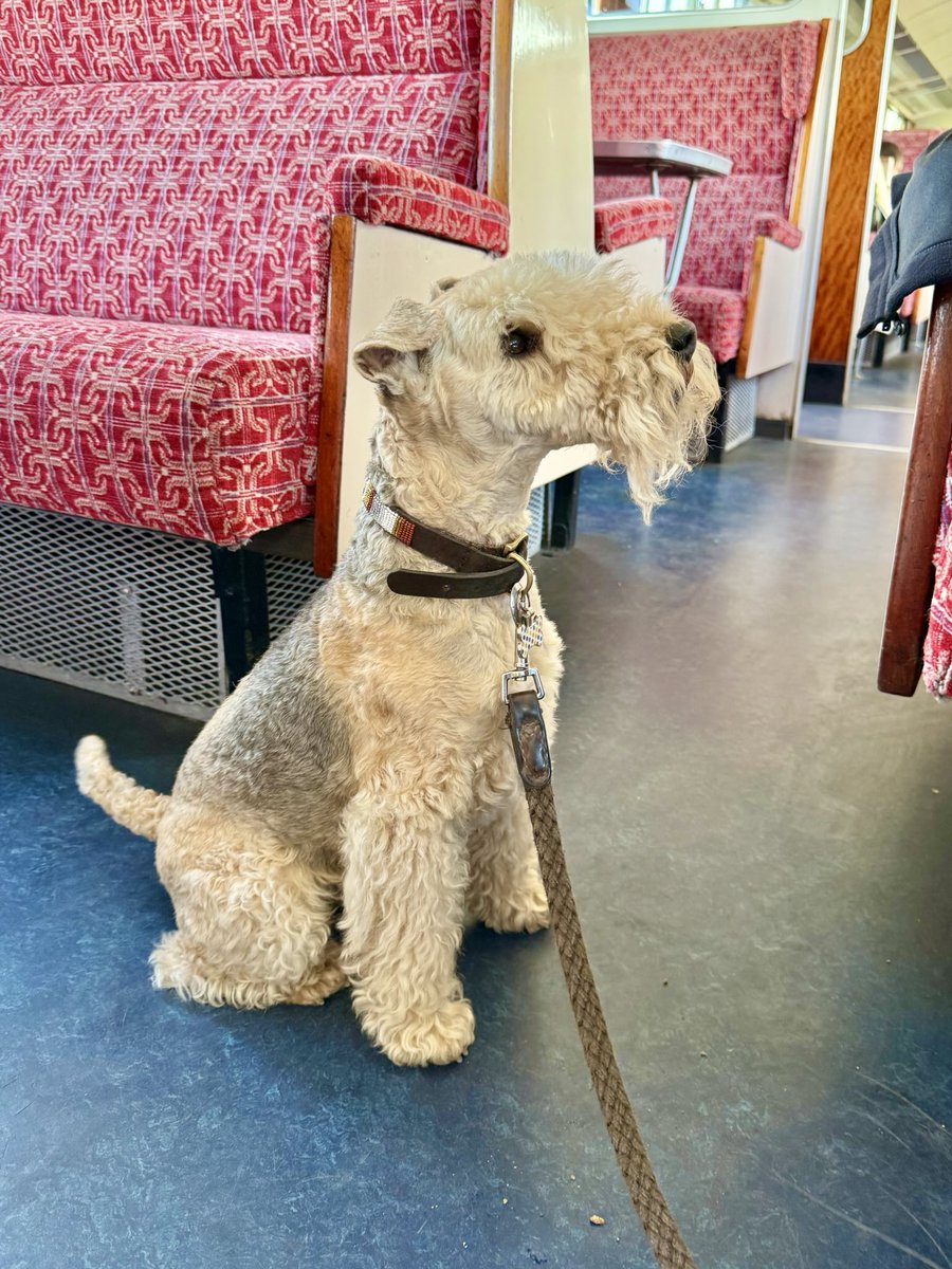 Bertie Lakeland tweet media