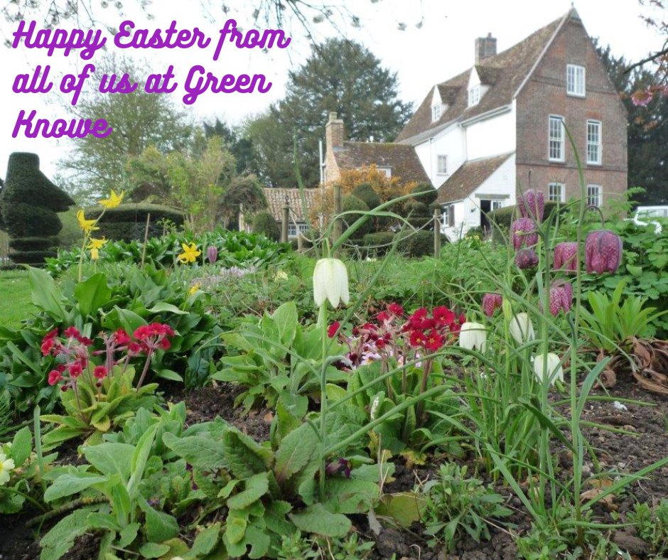 The Manor tweet media