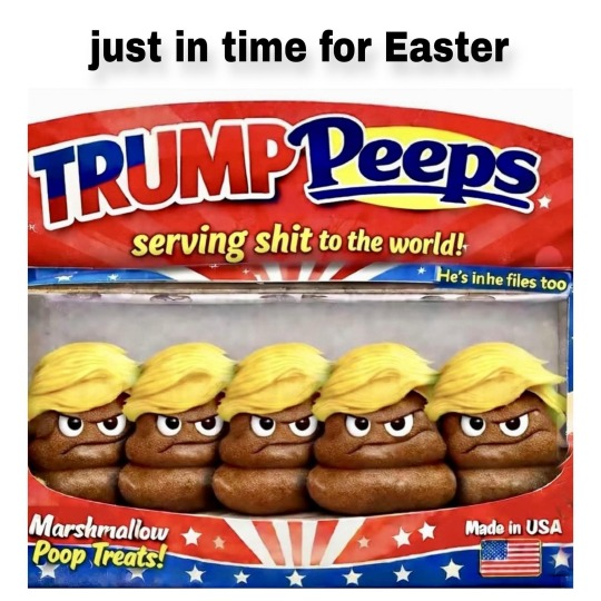 Brown Eyed Susan tweet media