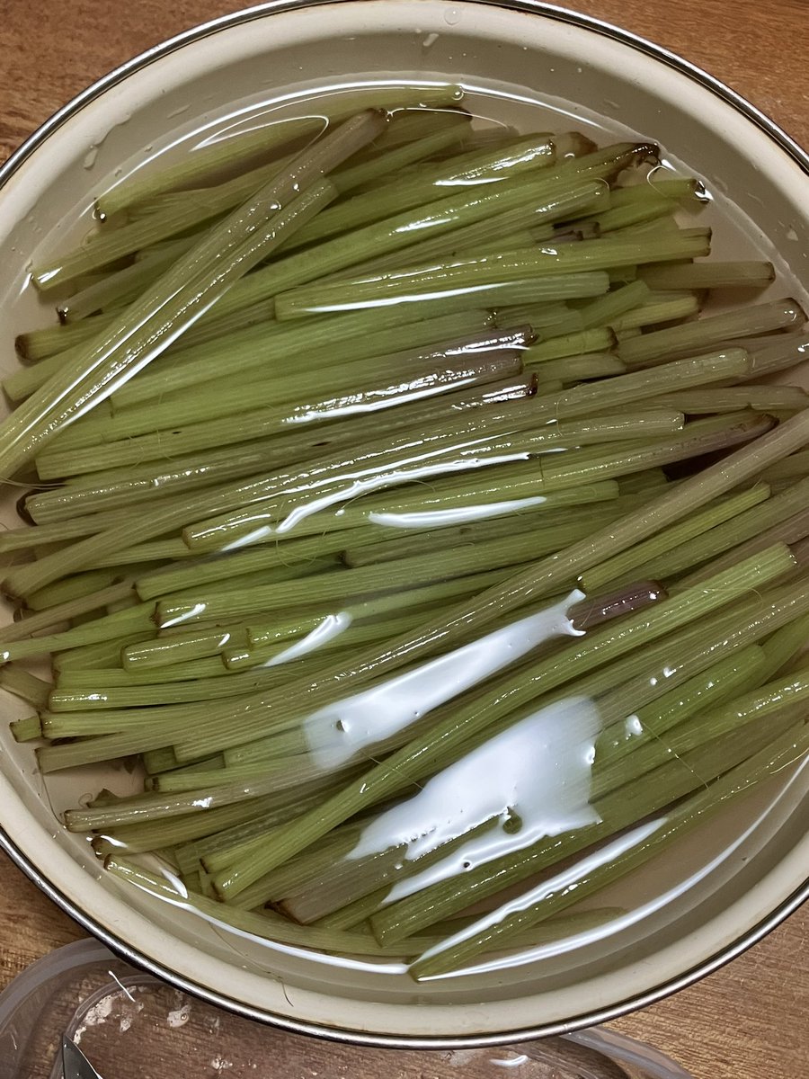 ✧‧˚まい*✩もいもん༄⋆꙳まぃぽぉん𖤐·̩͙ tweet media