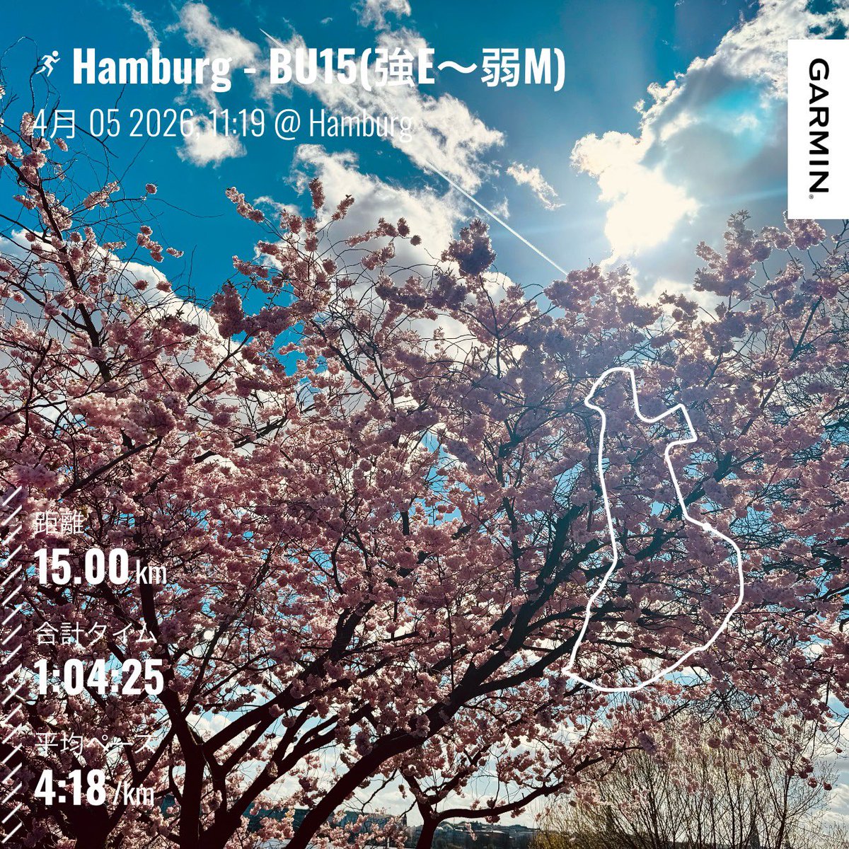 やどんらんなーSaeguSa🇩🇪@0412 パリ🇫🇷 tweet media