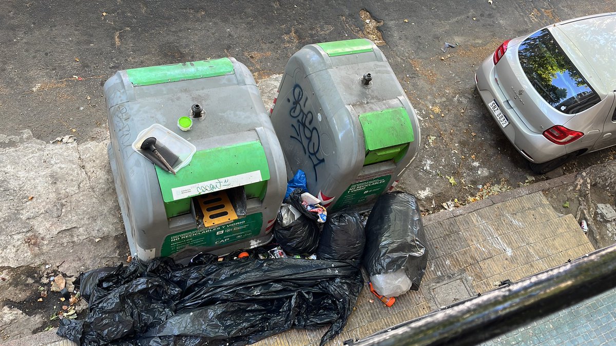 rita gnesetti tweet media