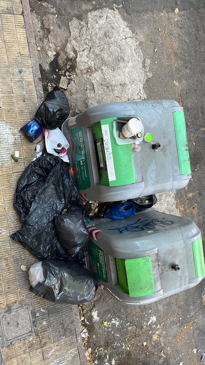 rita gnesetti tweet media