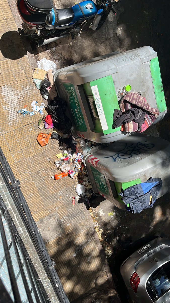 rita gnesetti tweet media