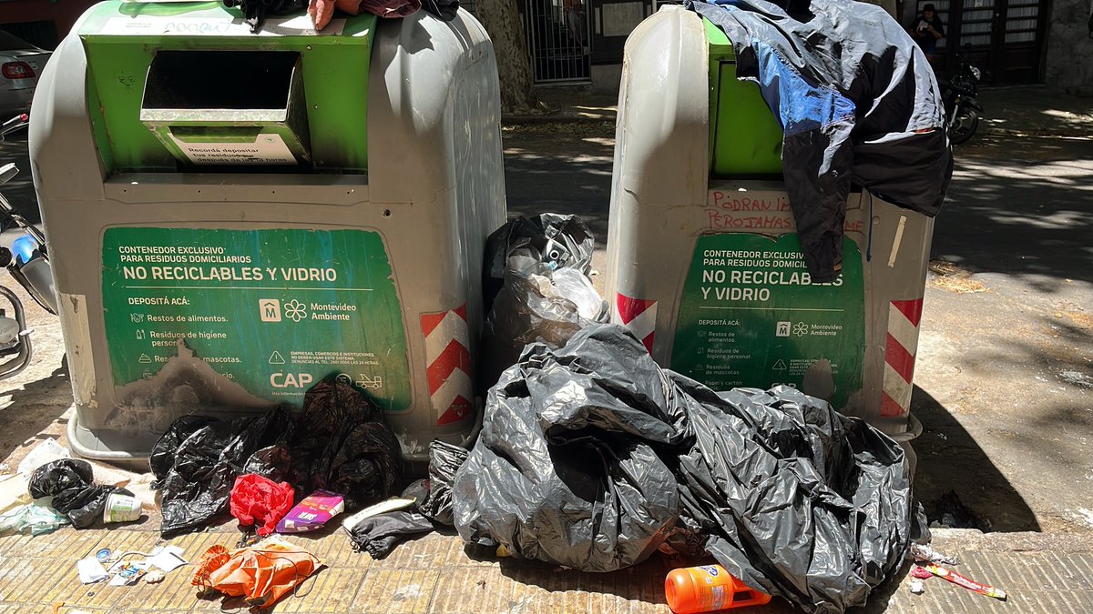 rita gnesetti tweet media