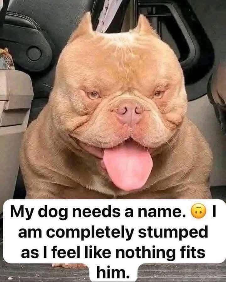 Kristina Bolten tweet media