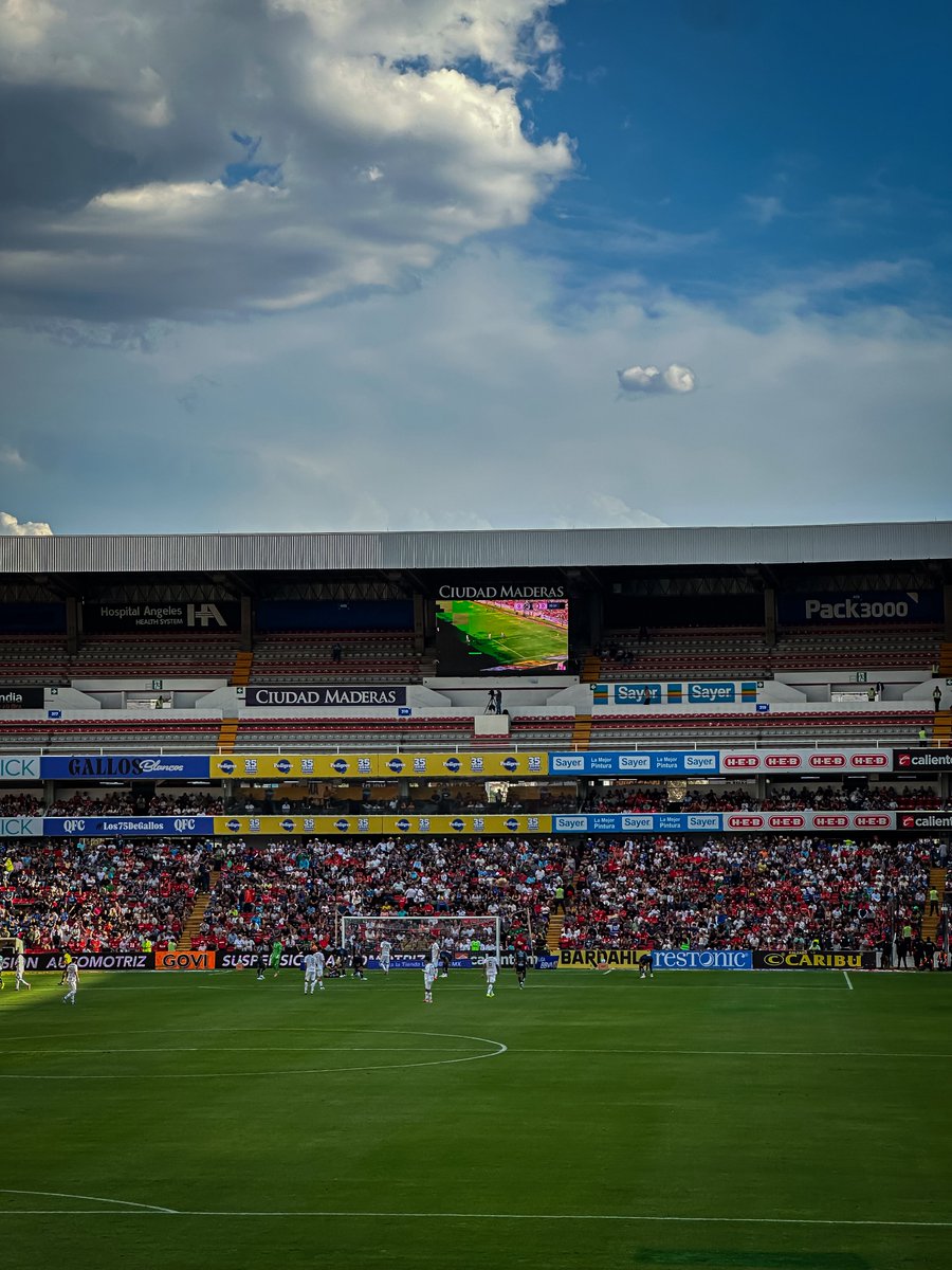 1950 F.C tweet media