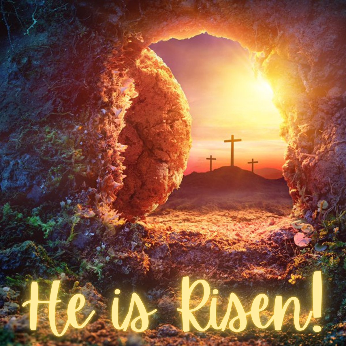 Nancy Sinatra tweet media