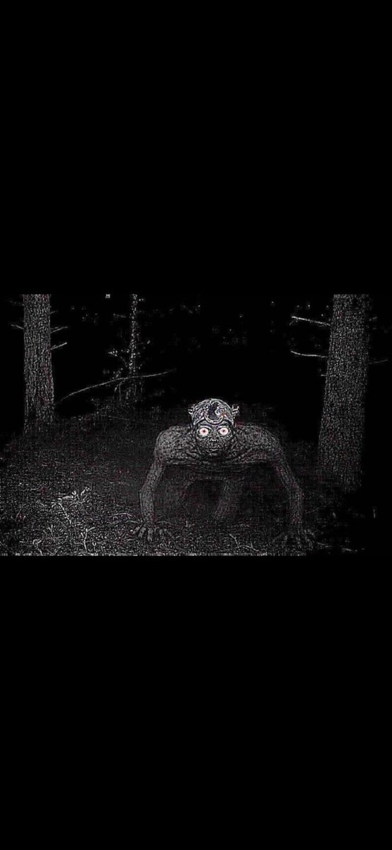 Naïm 🇲🇦🇵🇸 tweet media