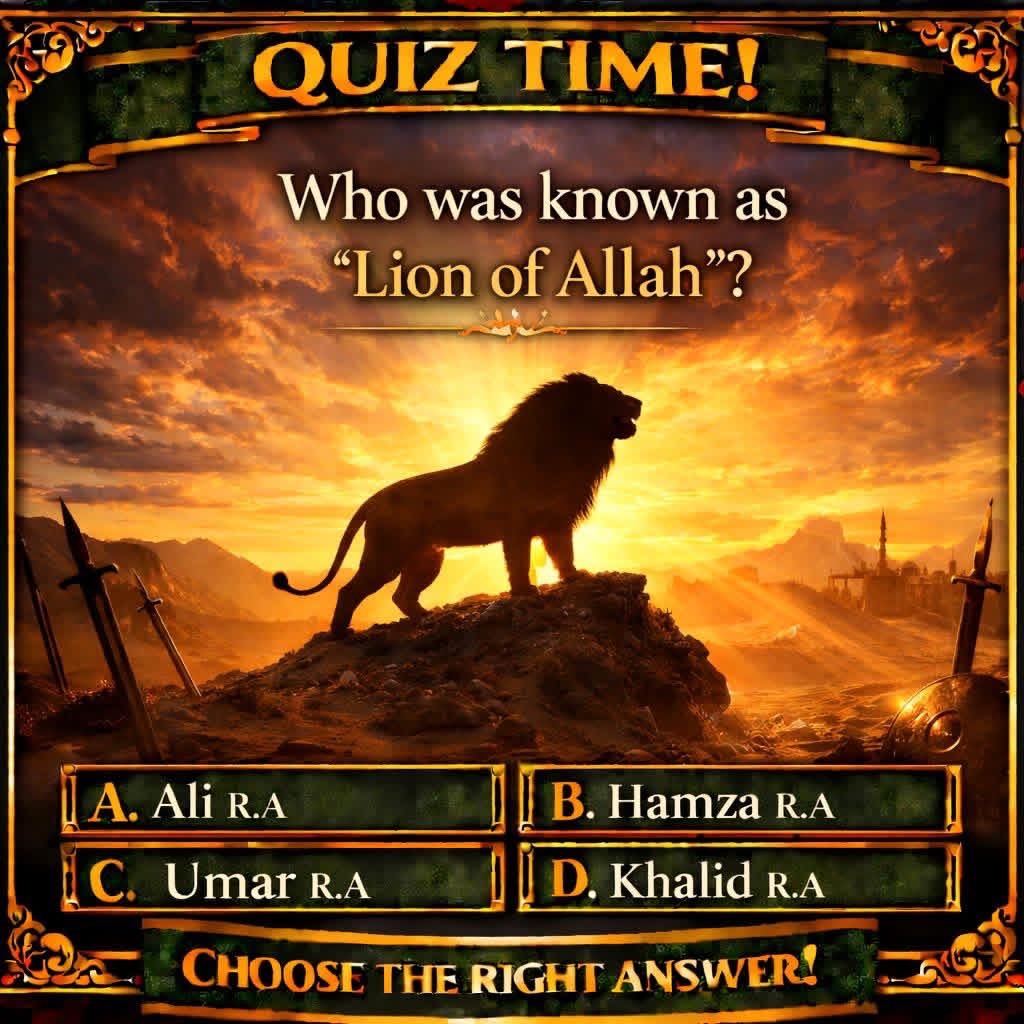 Haleema Abubakar🌹 tweet media