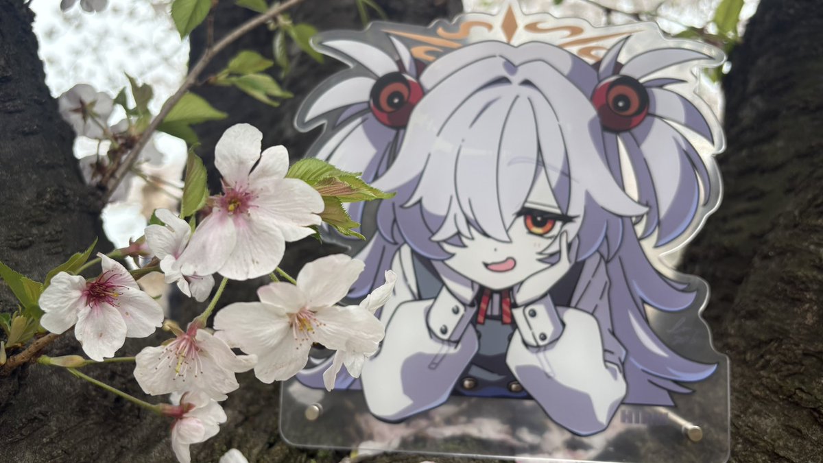 めにから@ tweet media