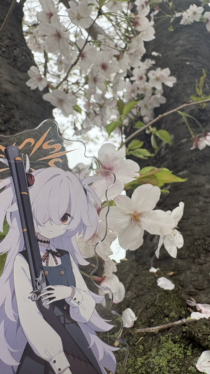 めにから@ tweet media