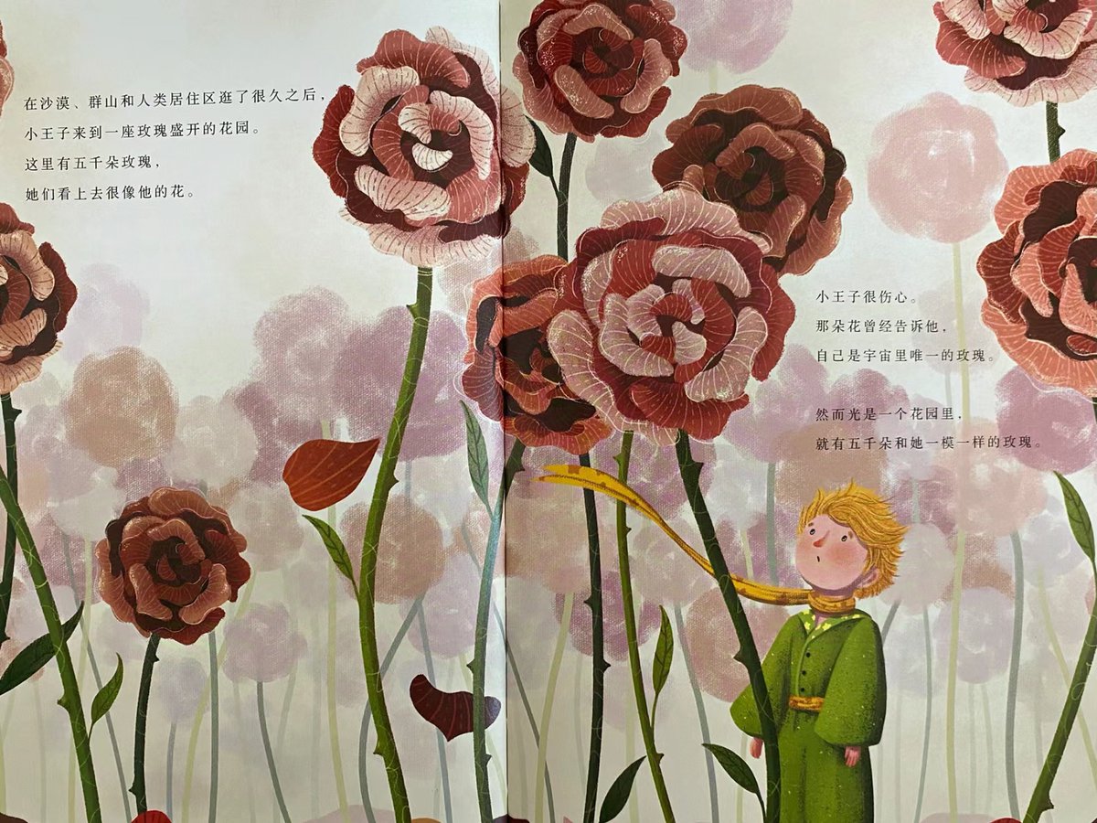 kamel ammar tweet media