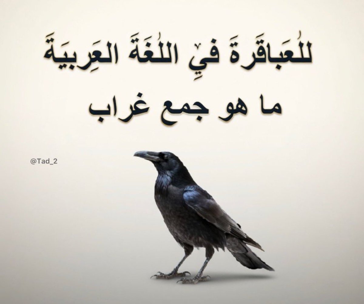 سقراط🌟 tweet media