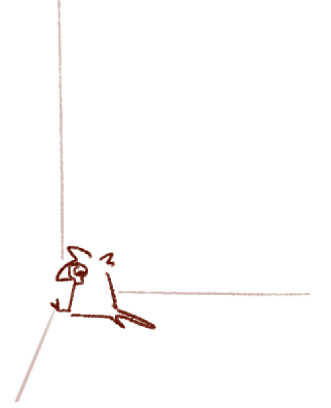 Corvusapis tweet media