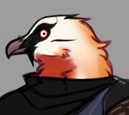 Goopy_art's tweet photo. Someeee new dnd charactersss. A cool bearded vulture (Ossifrage) and a cool Blue jay. https://t.co/l0KP9iZ52C