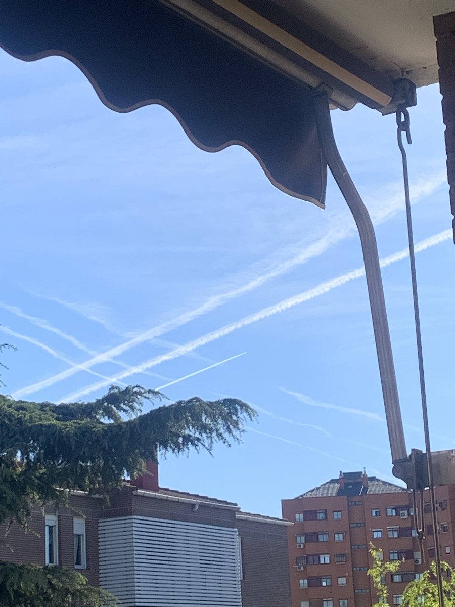 Sidera Visus 😃🐱 tweet media