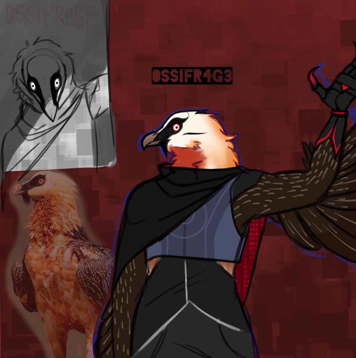 Goopy_art's tweet photo. Someeee new dnd charactersss. A cool bearded vulture (Ossifrage) and a cool Blue jay. https://t.co/l0KP9iZ52C