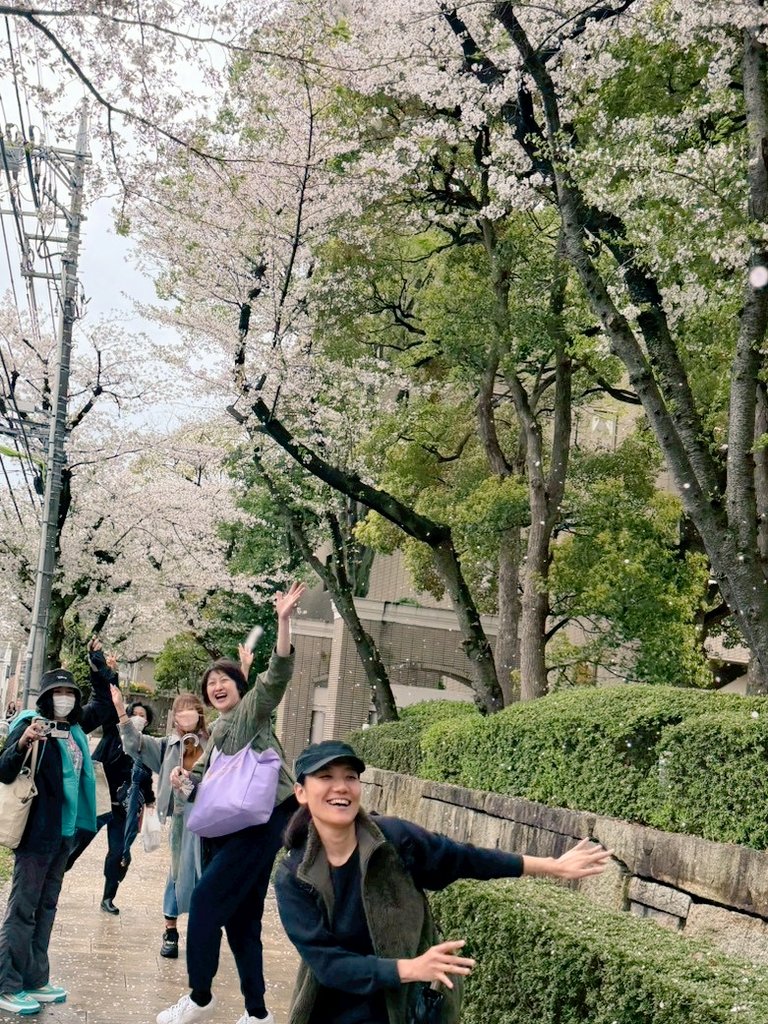 ひげ太夫の帰り道！
散らす気満々の強風によって贅沢な桜吹雪🌸
楽し気な写真を撮ってもらいました😊

5/2(土)18時の回は半分埋まっているそう…
ご検討中の方はお早めに🔥

｢トラジャ百香拳｣
5/1(金)~5/6(水祝) @シアター風姿花伝

▼チケットフォーム(ジョニー扱い)
ticket.corich.jp/apply/437807/0…