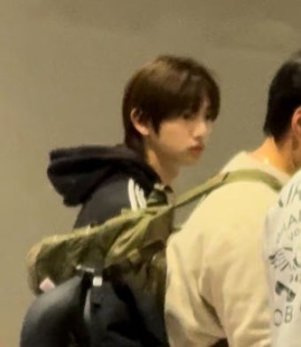 🐢🐶 tweet media